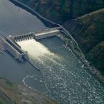 In this 2019 photo, the Lower Granite Dam on the Snake River is seen from the air near Colfax. (AP Photo/Ted S. Warren, File)