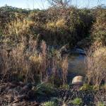 A culvert (lower right) along Edgecomb Creek in Arlington in 2018. A transportation package proposal from Democrats includes $2.4 billion for fish barrier removal like this project. (Olivia Vanni / Herald file)