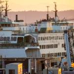 The state ferry Cathlamet, which rammed a Seattle dock last summer, sits at the Port of Everett last August waiting for repairs. (Ryan Berry / The Herald file photo)