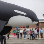 Fourth and fifth graders from Hazelwood Elementary School participate in a parade to celebrate Orca Fest at their school on Thursday, Oct. 12, 2023, in Lynnwood, Washington. The orca parade was one of several sea-related activities for the students, leading up to Orca Recovery Day on Oct. 14. (Olivia Vanni / The Herald)