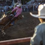 Jake Iverson, 23, rides a horse during the ranch saddle bronc event during the Timberbowl Rodeo on Saturday, June 24, 2023, in Darrington, Washington. Later on in the ride, the horse broke its leg and was evacuated from the ring. (Annie Barker / The Herald)