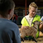 Rory Venable, 11, of Monroe, feeds his 7-week-old pygmy goat Mr. Darcy during opening day of the Evergreen State Fair on Thursday, Aug. 24, 2023, in Monroe, Washington. Mr. Darcy was Venables first 4-H animal. (Ryan Berry / The Herald)