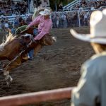 Jake Iverson, 23, rides a horse during the ranch saddle bronc event during the Timberbowl Rodeo on Saturday, June 24, 2023, in Darrington, Washington. Later on in the ride, the horse broke its leg and was evacuated from the ring. (Annie Barker / The Herald)