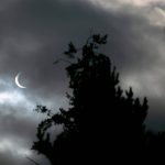 Ryan Berry / The Herald
Clouds pass in front of the moon and sun as the two cross paths during an annular eclipse seen from Everett on Oct. 14. A total eclipse will be visible over parts of the United States in April.