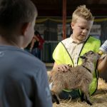 Rory Venable, 11, of Monroe, feeds his 7-week-old pygmy goat Mr. Darcy during opening day of the Evergreen State Fair on Thursday, August 24, 2023, in Monroe, Washington. Mr. Darcy was Venable's first 4-H animal. (Ryan Berry / The Herald)