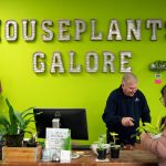 Steve Compton helps a customer check out before assisting her with taking plants to her car at Houseplants Galore on Friday, Jan. 12, 2024, in Everett, Washington. (Ryan Berry / The Herald)