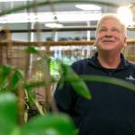 Steve Compton looks up at one of the largest plants at his store, a monstera, at Houseplants Galore on Friday, Jan. 12, 2024, in Everett, Washington. (Ryan Berry / The Herald)