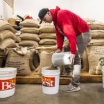 Trevor Peterson fills up buckets with coffee beans to be roasted at Vista Clara Coffee on Monday, Jan. 15, 2024 in Snohomish, Washington. (Olivia Vanni / The Herald)