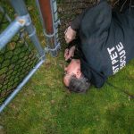 Pet detective Jim Branson lies in the grass to look for any evidence of fur caught on a fence in a high-traffic area of someones yard on Saturday, March 2, 2024, in Everett, Washington. (Ryan Berry / The Herald)