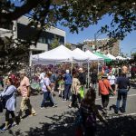 People walk through Sorticulture on Friday, June 7, 2024, in Everett, Washington. (Olivia Vanni / The Herald)