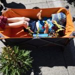 Koda Bishop, 3, eats pizza and sits in a cart with plants during Sorticulture on Friday, June 7, 2024, in Everett, Washington. (Olivia Vanni / The Herald)