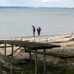 Two visitors comb the beach at Kayak Point Regional County Park on Friday, June 14, 2024, in Tulalip, Washington. (Ryan Berry / The Herald)