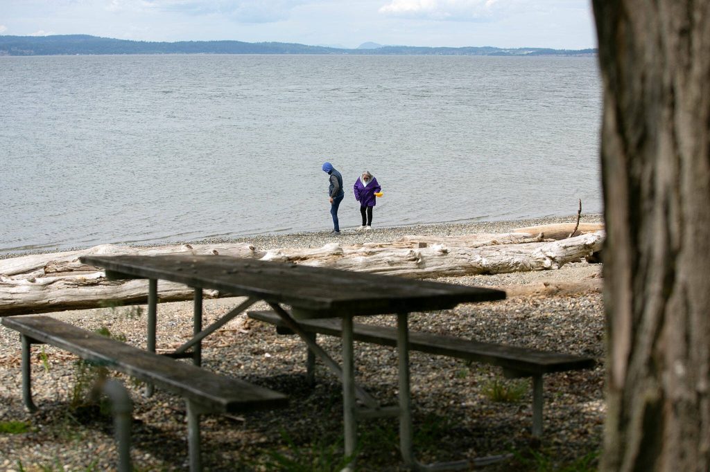 Two visitors comb the beach at Kayak Point Regional County Park on Friday, June 14, 2024, near Stanwood, Washington. (Ryan Berry / The Herald)
