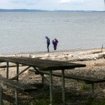 Two visitors comb the beach at Kayak Point Regional County Park on Friday, June 14, 2024, near Stanwood, Washington. (Ryan Berry / The Herald)