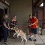 People check out dogs for a Wandering Rover field trip at the Everett Animal Shelter in Everett on July 17, 2024. (Annie Barker / The Herald)