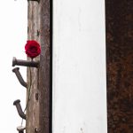 A single red rose rests on the beam recovered from the collapsed World Trade Center on Wednesday, Sept. 11, 2024, in Edmonds, Washington. (Olivia Vanni / The Herald)