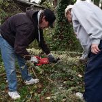 Tony Springer, left, works to clean broken branches from his front yard on Wednesday, Nov. 20, 2024 in Everett, Washington, after a tree fell on his neighbors home. (Will Geschke / The Herald)
