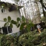 Scott Peterson works to clear a tree that fell on the roof of Shawn Hawes apartment on Wednesday, Nov. 20, 2024 in Lake Stevens, Washington. (Olivia Vanni / The Herald)