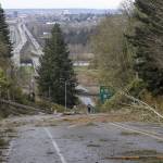 A person walks up 20th Street SE to look at the damage that closed the road on Wednesday, Nov. 20, 2024 in Lake Stevens, Washington. (Olivia Vanni / The Herald)