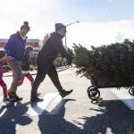 Travis Coletti, right, pushes his familys Christmas tree across Broadway in a cart with his wife Liz Coletti and two daughters Frankie, 7, and Sicily, 4, following behind on Friday, Nov. 29, 2024 in Everett, Washington. The Coletti family has been buying their Christmas tree after Thanksgiving at County Farms and walking it back to their home for the last four years. (Olivia Vanni / The Herald)