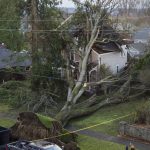 People stop to look at a tree that fell on a home in Snohomish on Wednesday, Nov. 20, 2024. (Olivia Vanni / The Herald)