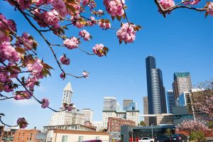 Seattle is a city made for spring explorations. Sergey Novikov // Shutterstock