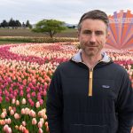 Brent Roozen, a tulip farmer at Roozengaarde outside of Mount Vernon, Washington during the Skagit Valley Tulip Festival on April 10, 2025. (Will Geschke / The Herald)