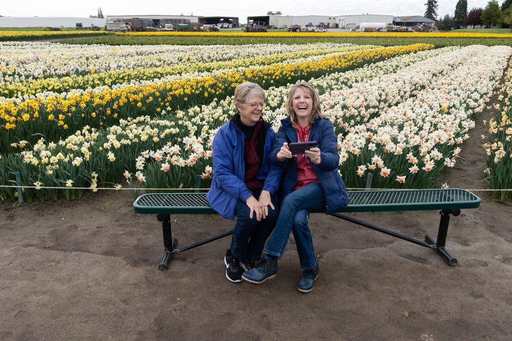 Lauri Ledbeter, right, sits with Genie Hallman at Roozengaarde outside of Mount Vernon, Washington during the Skagit Valley Tulip Festival on April 10, 2025. (Will Geschke / The Herald)