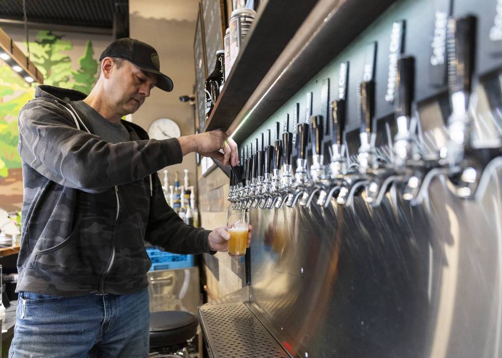 Cole Rinehardt pours a beer for a customer on Wednesday, March 12, 2025 in Arlington, Washington. (Olivia Vanni / The Herald)