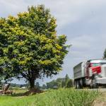A truck passes by the shoe tree along Machias Road on Thursday, Aug. 28, 2025 in Snohomish, Washington. (Olivia Vanni / The Herald)
