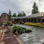 The back patio area and deck on Oct. 23, 2025 in Mukilteo, Washington. (Olivia Vanni / The Herald)