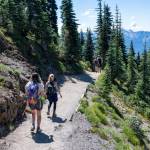 Hikers on Hurricane Ridge trail in Olympic National Park,  AdobeStock