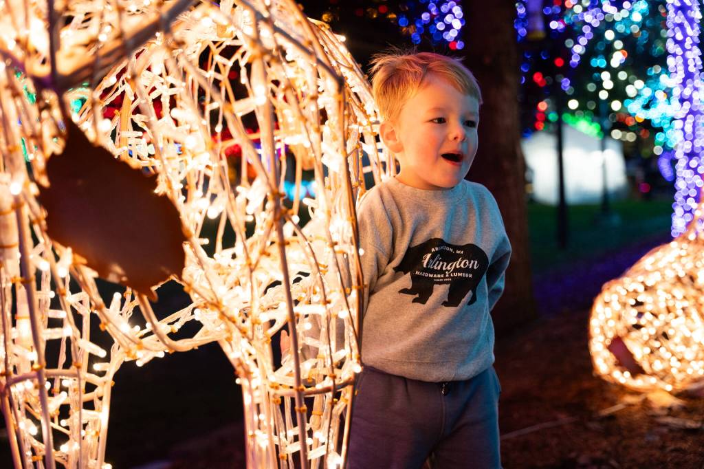 Stratton Atwood, 3, stands next to a reindeer at the Tulalip Lights and Ice event on November 22, 2025 in Tulalip, Washington. (Will Geschke / The Herald)