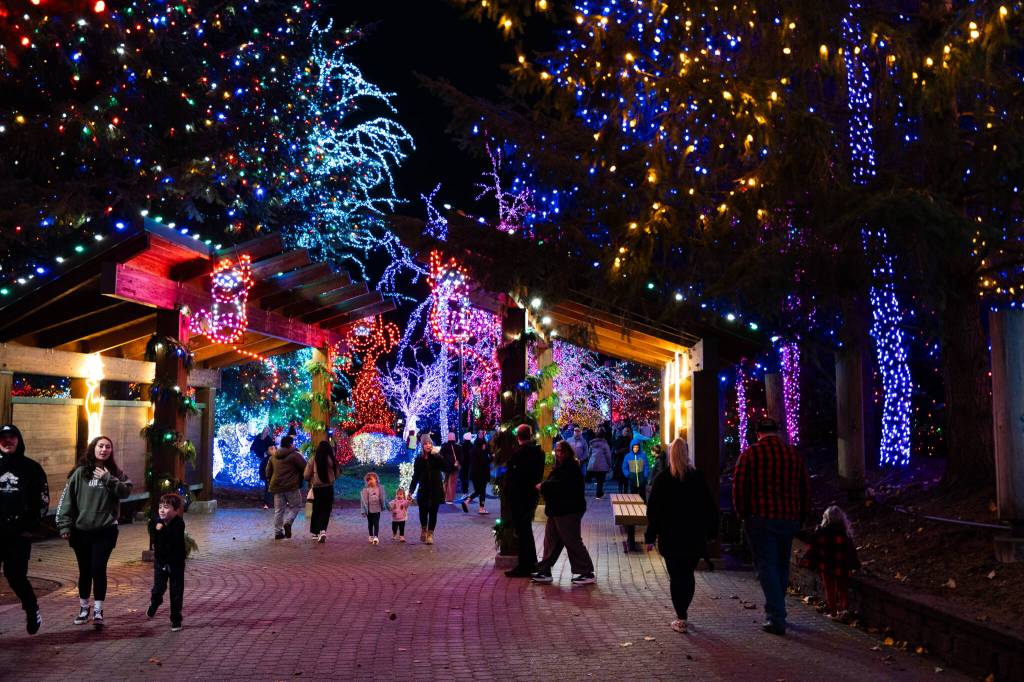 Visitors walk while looking at lights at the Tulalip Lights and Ice event on November 22, 2025 in Tulalip, Washington. (Will Geschke / The Herald)