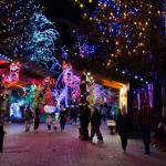 Visitors walk while looking at lights at the Tulalip Lights and Ice event on November 22, 2025 in Tulalip, Washington. (Will Geschke / The Herald)