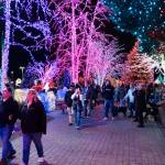 Visitors walk while looking at lights at the Tulalip Lights and Ice event on November 22, 2025 in Tulalip, Washington. (Will Geschke / The Herald)