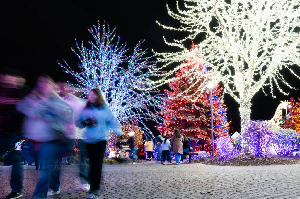 Visitors walk while looking at lights at the Tulalip Lights and Ice event on Saturday in Tulalip. (Will Geschke / The Herald)