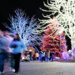 Visitors walk while looking at lights at the Tulalip Lights and Ice event on Saturday in Tulalip. (Will Geschke / The Herald)