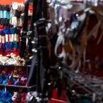 A selection of bondage ropes as well as harnesses available at Lovers Lair on Dec. 19, 2025 in Everett. (Olivia Vanni / The Herald)