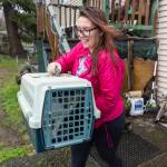 Andrea Gould-Linder carries out her uncles cat Diva as she helps her family evacuate their home on Ebey Island on Wednesday, Dec. 10, 2025 in Everett, Washington. (Olivia Vanni / The Herald)