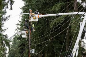 Snohomish PUD crews repair a power line that was hit by a downed tree along Cypress Way on Monday, Dec. 15, 2025 in Lynnwood, Washington. (Olivia Vanni / The Herald)