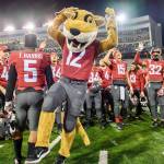 Provided photo
Andy Hougan as Butch T. Cougar, Washington State Universitys mascot in 2019 and 2020. Hougan is a city of Marysville financial analyst.