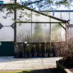 Outside of the treehouse at Flower World on Wednesday, Dec. 31, 2025 in Snohomish, Washington. (Olivia Vanni / The Herald)