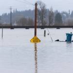 Floodwater from the Snohomish River partially covers a flood water sign along Lincoln Avenue in December 2025 in Snohomish. (Olivia Vanni / The Herald)