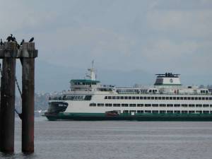Washington State Ferries Wenatchee approaches the Bainbridge Island terminal in fall 2025. (Tom Banse)