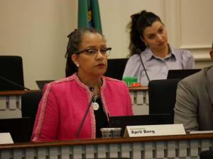 House Finance Chair April Berg, D-Mill Creek, seen during a January committee hearing, has introduced a rewrite of Democrats income tax bill. (Photo by Bill Lucia/Washington State Standard)