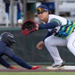 Luis Suisbel (8) of the Everett AquaSox reaches out to catch a throw while Capri Ortiz (4) of the Tri-City Dust Devils dives back to first base during the game on Tuesday, April 7, 2026 in Everett, Washington. (Olivia Vanni / The Herald)