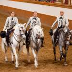 A performance of the Royal Andalusian School of Equestrian Art in Jerez is art like youve never seen. (Dominic Arizona Bonuccelli)